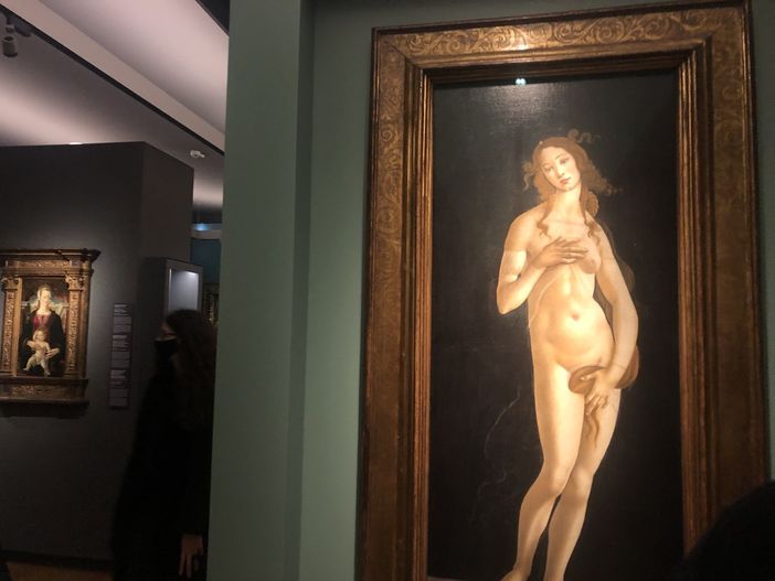 Sandro Botticelli, la storia della Venere torinese “meno conosciuta” a Palazzo Reale