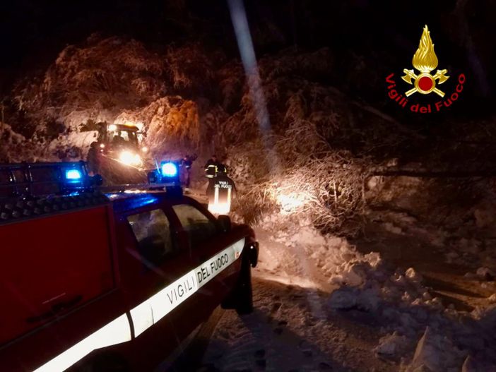 Nevicate abbondanti in quota: i vigili del fuoco in azione per rimuovere gli alberi pericolanti. Disagi verso il Moncenisio: chiusura a Giaglione [FOTO]