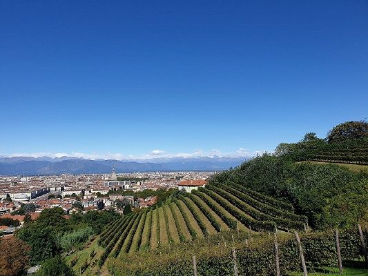 Direzioni regionale Musei lancio il bando per la concessione dell’antica vigna di Villa della Regina