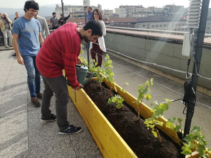 Anche il Poli si regala la sua vigna urbana: un laboratorio per prendersi cura del buon vino (FOTO e VIDEO)