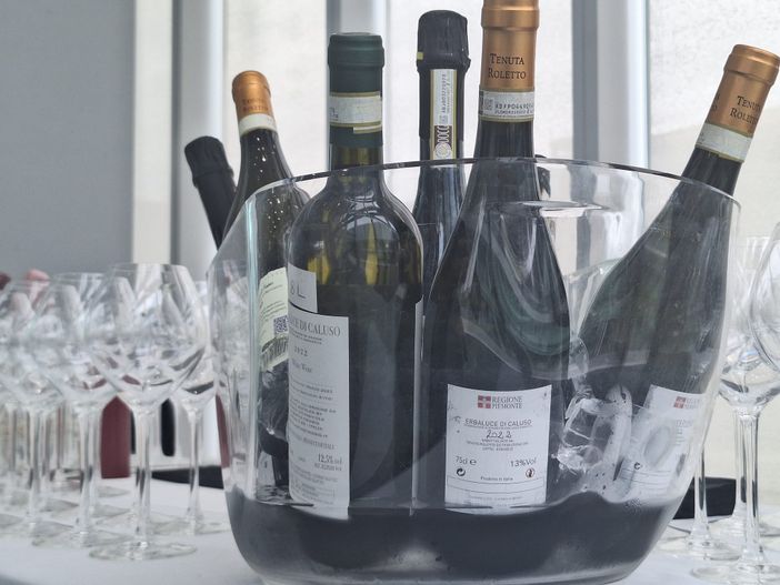 I vini piemontesi a Verona per il Vinitaly 2024