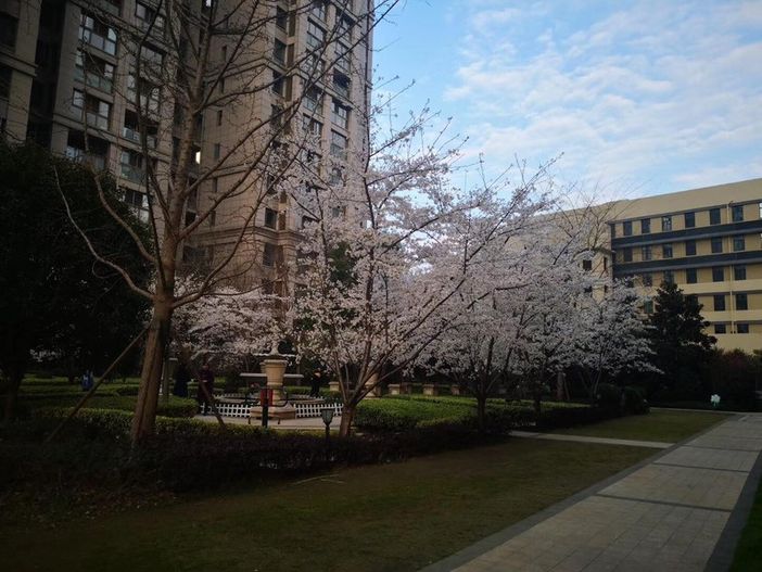 Un piemontese a Wuhan: &quot;Mi sento molto sicuro, quando finirà la quarantena avremo una app per controllare la temperatura&quot;