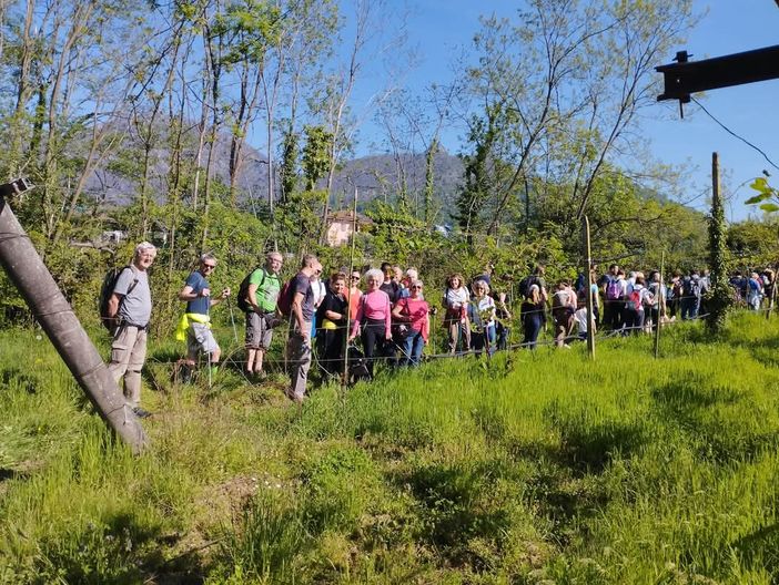 (Foto di repertorio) (Foto di repertorio)