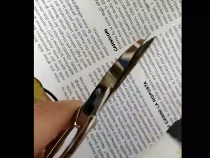 Coll-age 19 per superare l’isolamento, la proposta di Sonador di Torre Pellice Coll-age 19 per superare l’isolamento, la proposta di Sonador di Torre Pellice