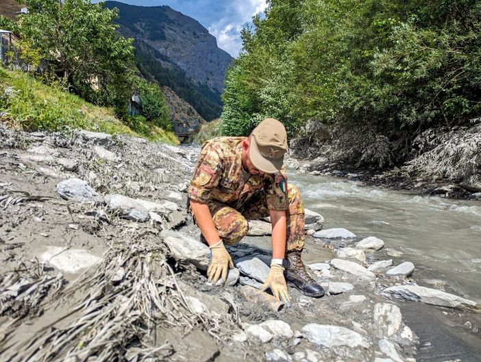 Bardonecchia, tra fango e detriti riemerge un ordigno della Seconda Guerra Mondiale