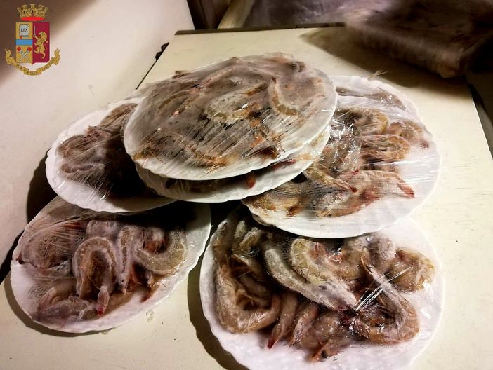 Involtini primavera e altro cibo malconservato e contaminato da insetti, a Torino la Polizia sequestra 400 chili di alimenti