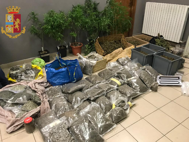 Altro che &quot;marijuana legale&quot;, sgominata la banda che riforniva di droga San Salvario: 7 arresti [FOTO e VIDEO]