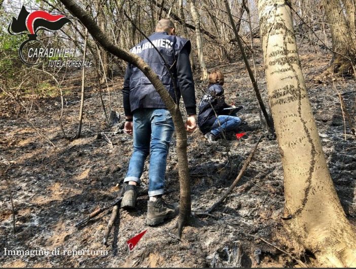 Scintille da un flessibile innescano incendio boschivo, identificato l'autore Scintille da un flessibile innescano incendio boschivo, identificato l'autore