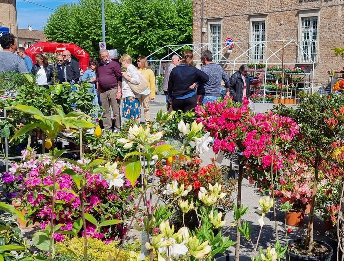 Uno scatto della scorsa edizione di Vigoflor