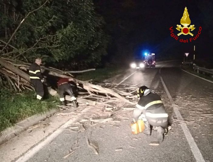 Albero si schianta sulla carreggiata, rimosso tronco a Roure