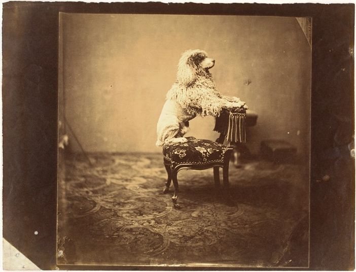 Torino, lezione di Storia della Fotografia con il direttore di Camera