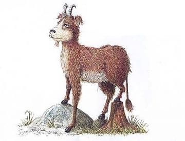 Quattro Comuni seguono le orme del mitico Dahu Quattro Comuni seguono le orme del mitico Dahu