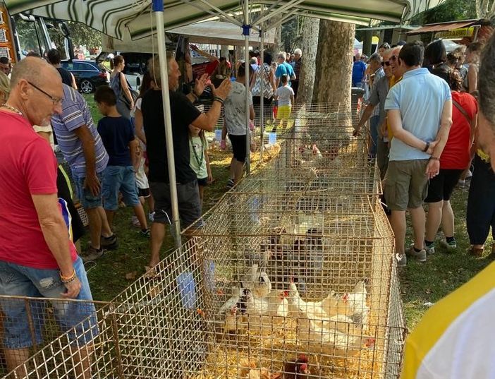 Chivasso in festa per la Patronale e la Fiera del Beato Angelo Carletti