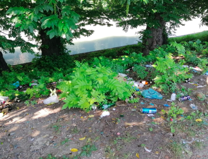 Aurora, dopo la lettera di residenti e commercianti sul degrado in Lungo Dora Napoli si muove anche la Circoscrizione 7