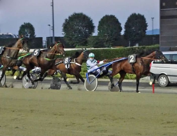 Domani ultima notturna del mese di luglio all'ippodromo di Vinovo