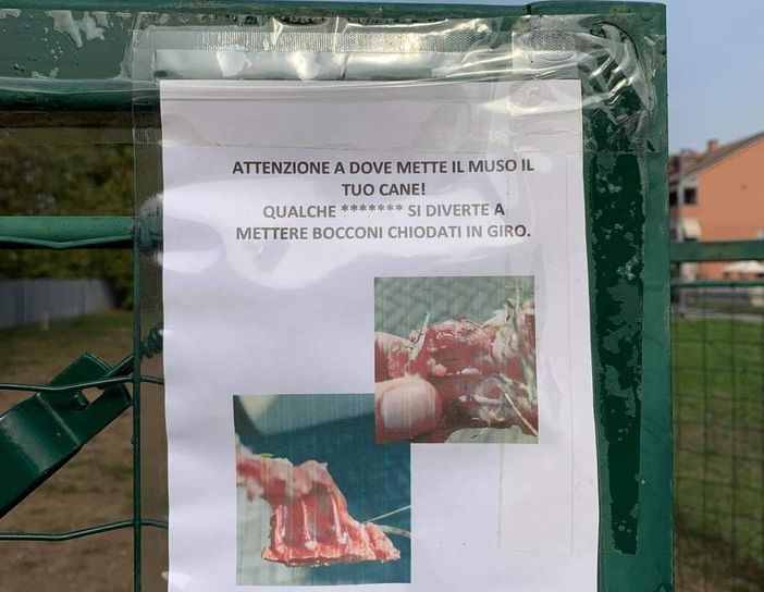 cartello nichelino