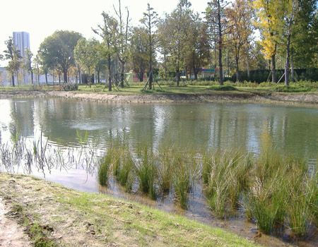 Interventi nell'oasi naturalistica di Piazza d'Armi Interventi nell'oasi naturalistica di Piazza d'Armi