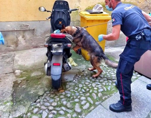 Jackie trova hashish e marijuana nascosta nello scooter, Carabinieri in azione contro spaccio di droga