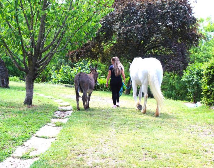 Bosco borgo Rubens: una giornata di pulizia del verde
