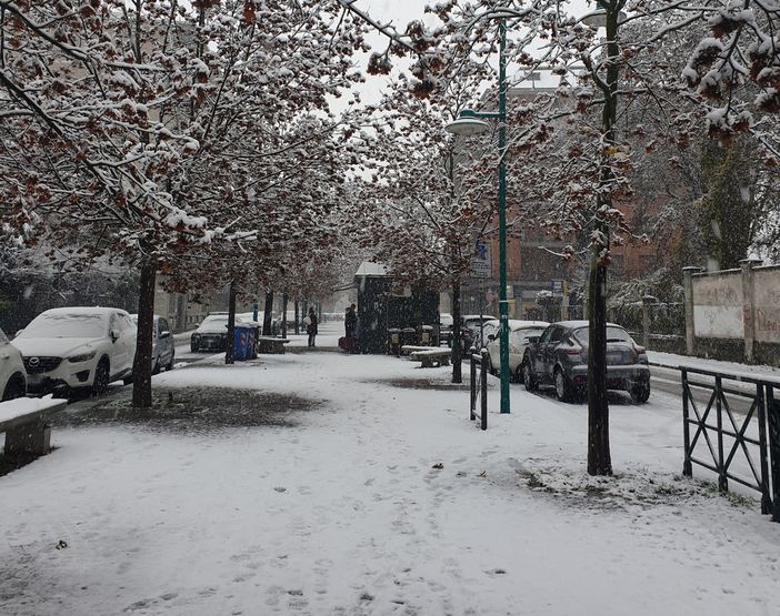 La neve nei viali di Chivasso