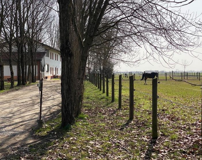 Asd Dogonda Asd Dogonda