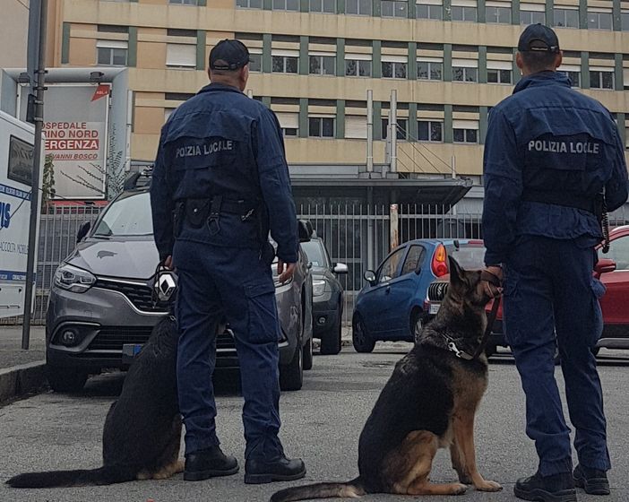 Stretta sui parcheggiatori abusivi: 141 presidi nel 2019 davanti al Giovanni Bosco Stretta sui parcheggiatori abusivi: 141 presidi nel 2019 davanti al Giovanni Bosco