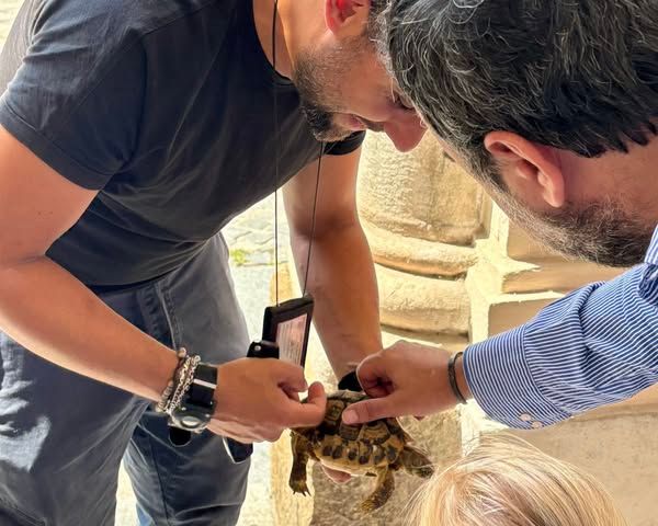 A Moncalieri messa in salvo una tartaruga dispersa (o abbandonata)