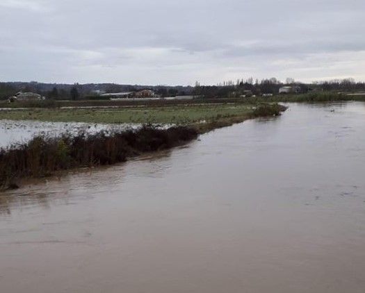 Moncalieri, il livello del Chisola è diminuito: passata la grande paura Moncalieri, il livello del Chisola è diminuito: passata la grande paura