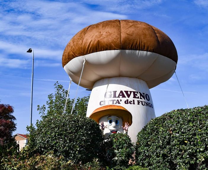 Giaveno si prepara a diventare la capitale dei funghi