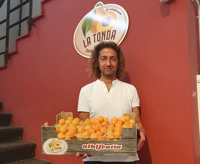 Flavio Lovera, direttore di Albifrutta, con l'albicocca Tonda di Costigliole Saluzzo