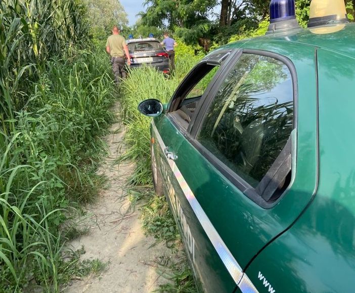 Ritrovamento a Vigone di Fiat Panda rubata Ritrovamento a Vigone di Fiat Panda rubata