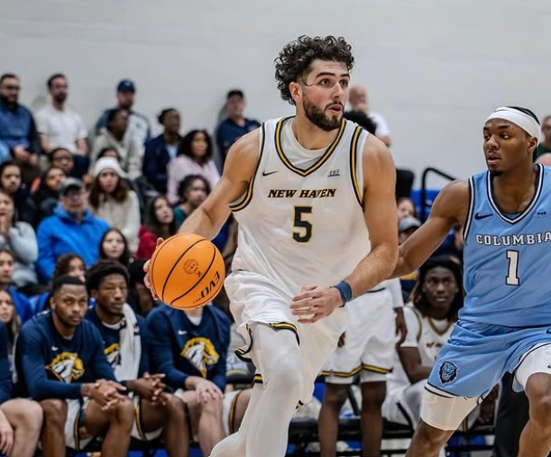 Basket, la Reale Mutua Torino inserisce Stefano Faloppa nel reparto lunghi