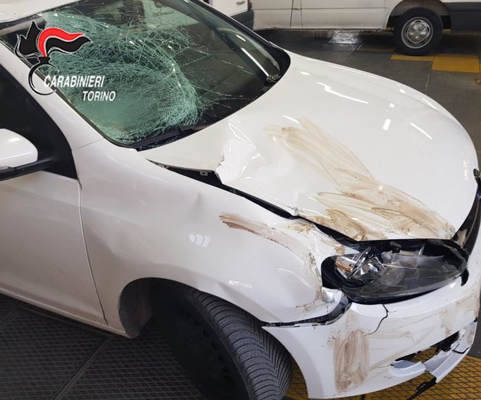 Fermato il pirata della strada che ha ucciso Franko Gjinaj: in carcere operaio di Giaveno con l'accusa di omicidio stradale Fermato il pirata della strada che ha ucciso Franko Gjinaj: in carcere operaio di Giaveno con l'accusa di omicidio stradale