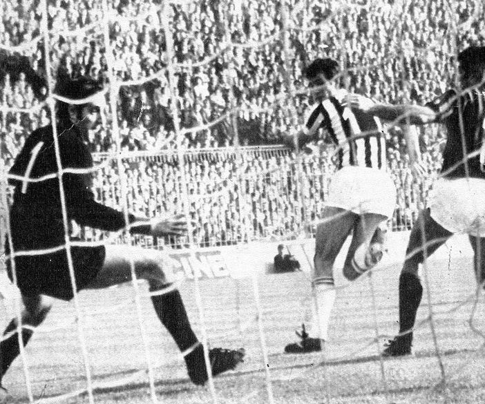 immagine tratta da wikiwand.com