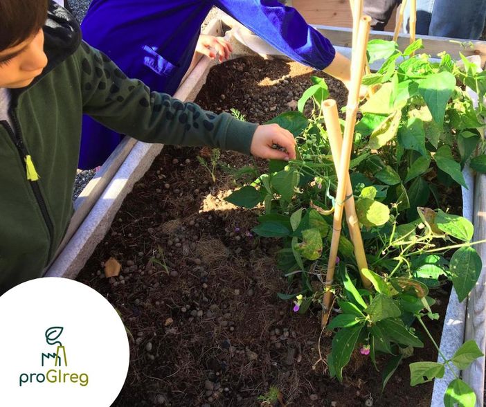 In primavera arrivano in via Roveda orti condivisi in cassone: domani la presentazione del progetto