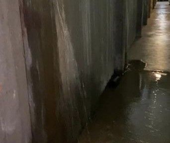 case popolari a nichelino