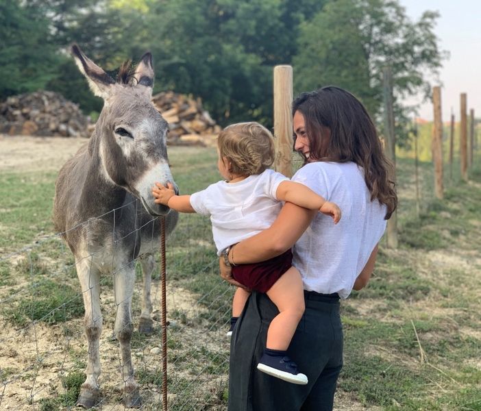 Fattorie didattiche, Protopapa annuncia un nuovo regolamento regionale Fattorie didattiche, Protopapa annuncia un nuovo regolamento regionale