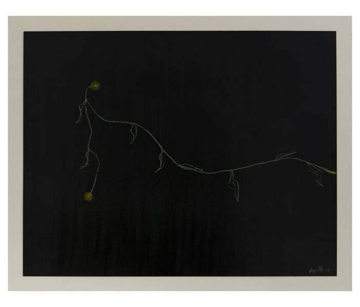 Vincenzo Agnetti, Photo-graffia, 1980