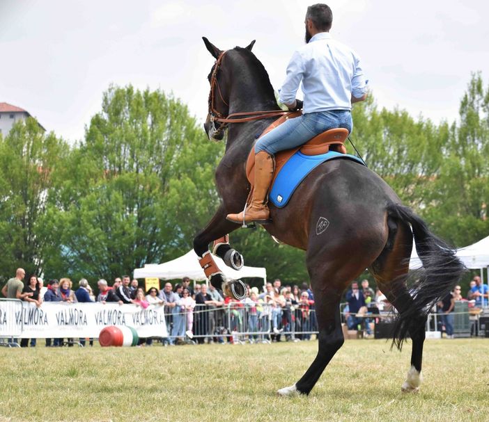 (Foto di Stefano Bricco) (Foto di Stefano Bricco)