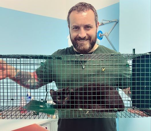 Nichelino, salvato pure l'ultimo dei 15 gattini abbandonati lungo le rive del Sangone Nichelino, salvato pure l'ultimo dei 15 gattini abbandonati lungo le rive del Sangone