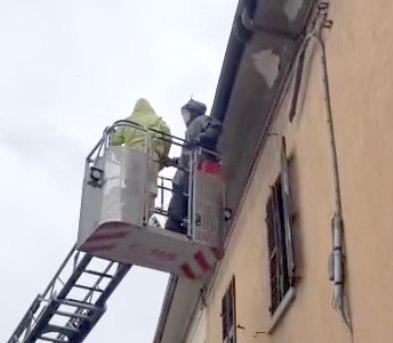 Uno sciame d'api su un cornicione in via Roma: messe in salvo da Anna Paola, apicoltrice chivassese