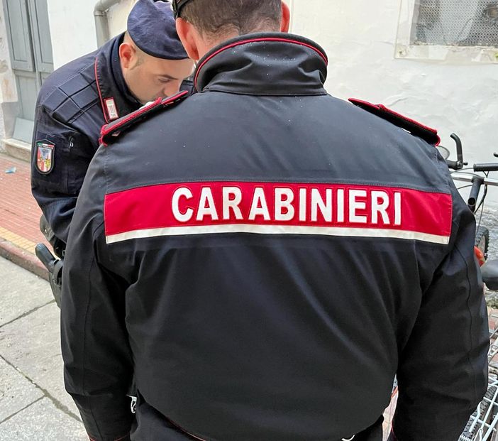 Contrasto alla droga, 4 arresti e centinaia di dosi sequestrate nel Torinese Contrasto alla droga, 4 arresti e centinaia di dosi sequestrate nel Torinese