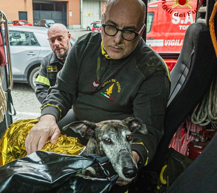 Dua Lipa finisce nelle gelide acque della Dora ma viene salvata dai Vigili del fuoco Dua Lipa finisce nelle gelide acque della Dora ma viene salvata dai Vigili del fuoco