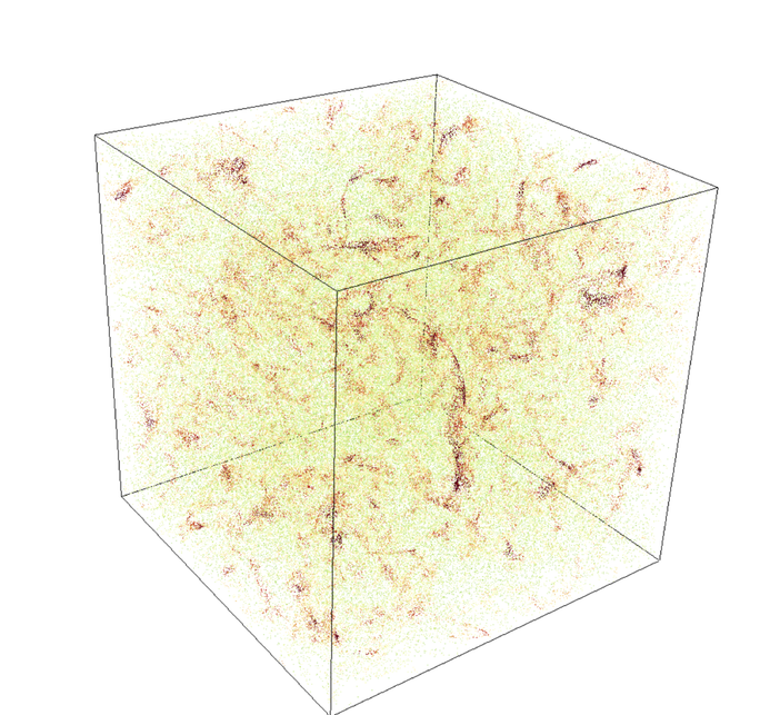 Una scoperta del gruppo di ricerca dell’Università di Torino prova a risolvere uno dei problemi fondamentali in campo biologico