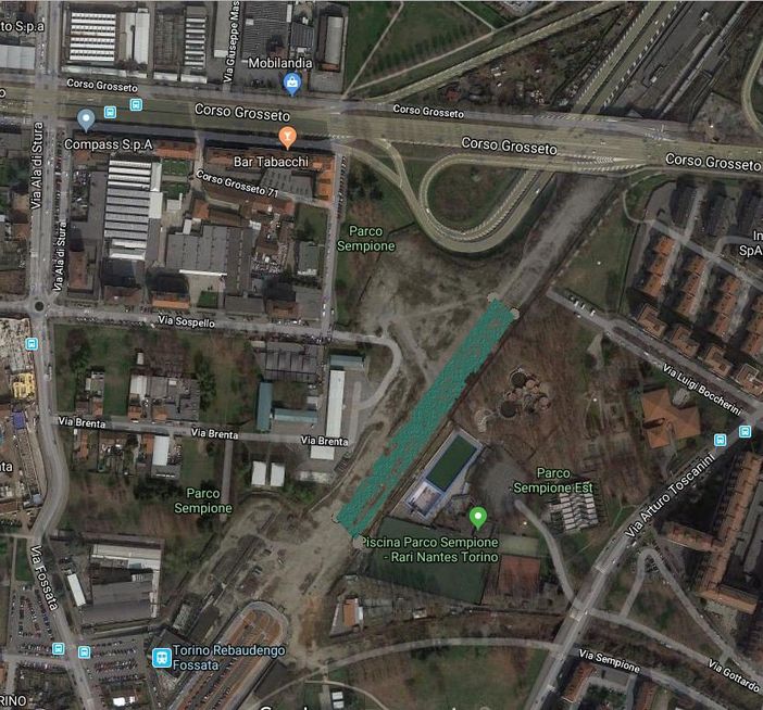 Una &quot;nursery&quot; per i nuovi alberi di corso Grosseto