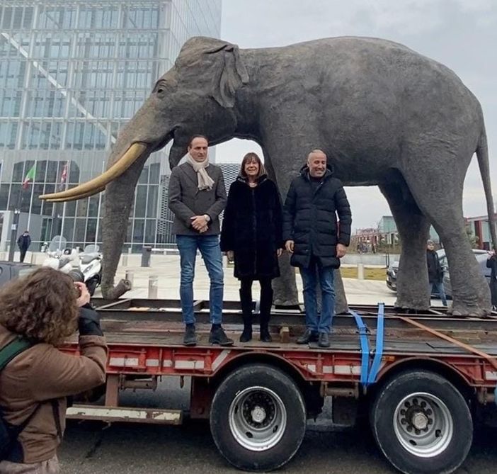 Il tour dell'elefante Fritz si conclude in piazza Castello: venerdì la riapertura del Museo di Scienze Naturali Il tour dell'elefante Fritz si conclude in piazza Castello: venerdì la riapertura del Museo di Scienze Naturali