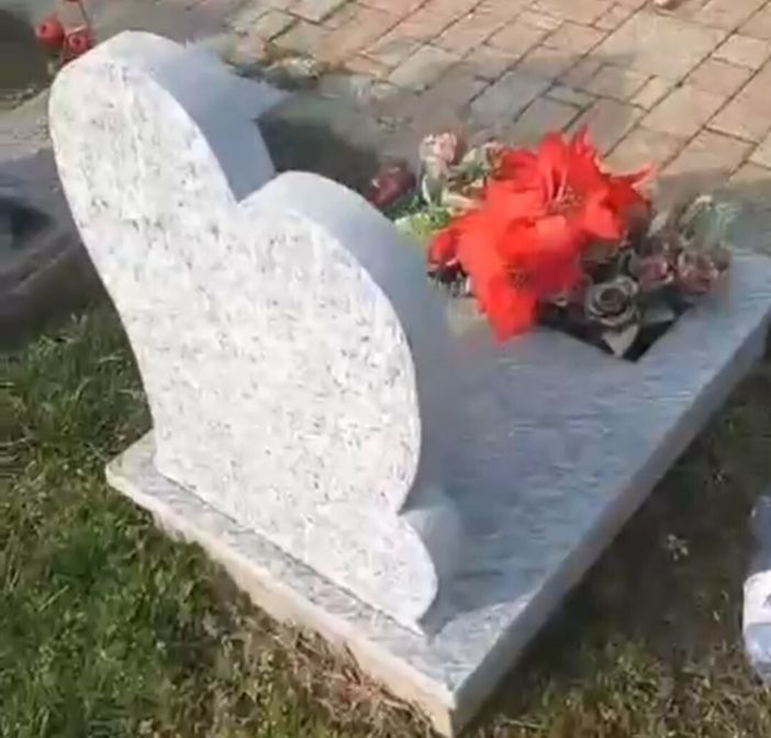 Corvi alla ricerca di cibo devastano le tombe al cimitero Monumentale Corvi alla ricerca di cibo devastano le tombe al cimitero Monumentale
