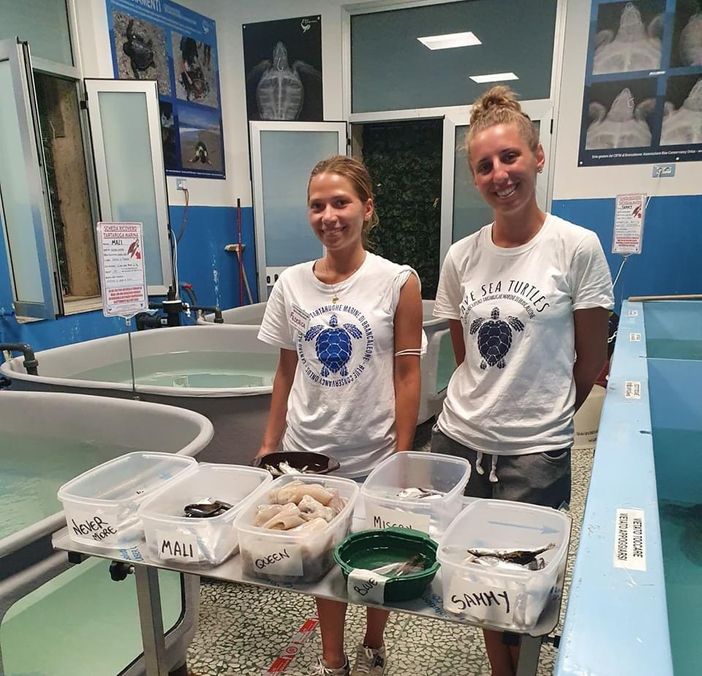 Rinunciano alle ferie per aiutare le tartarughe: la bella storia di Federica e della torinese Alessandra