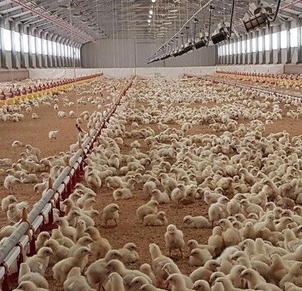 Coldiretti Piemonte: &quot;Sempre in allerta a monitorare gli scambi commerciali per smascherare frodi&quot;