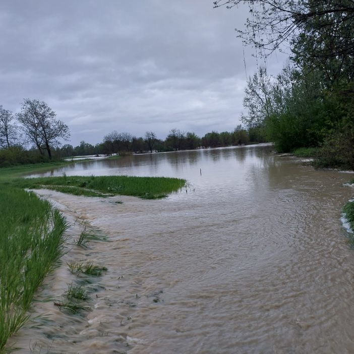 Un campo allagato durante l'alluvione di Cavagnolo